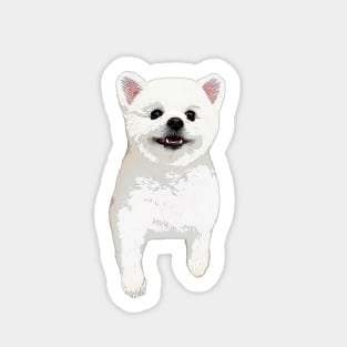 Pomeranian White Cute Puppy Dog Sticker